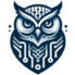 Wise Owl Analytics